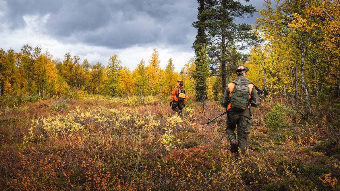 Hunting moose in Pomokaira in Lapland