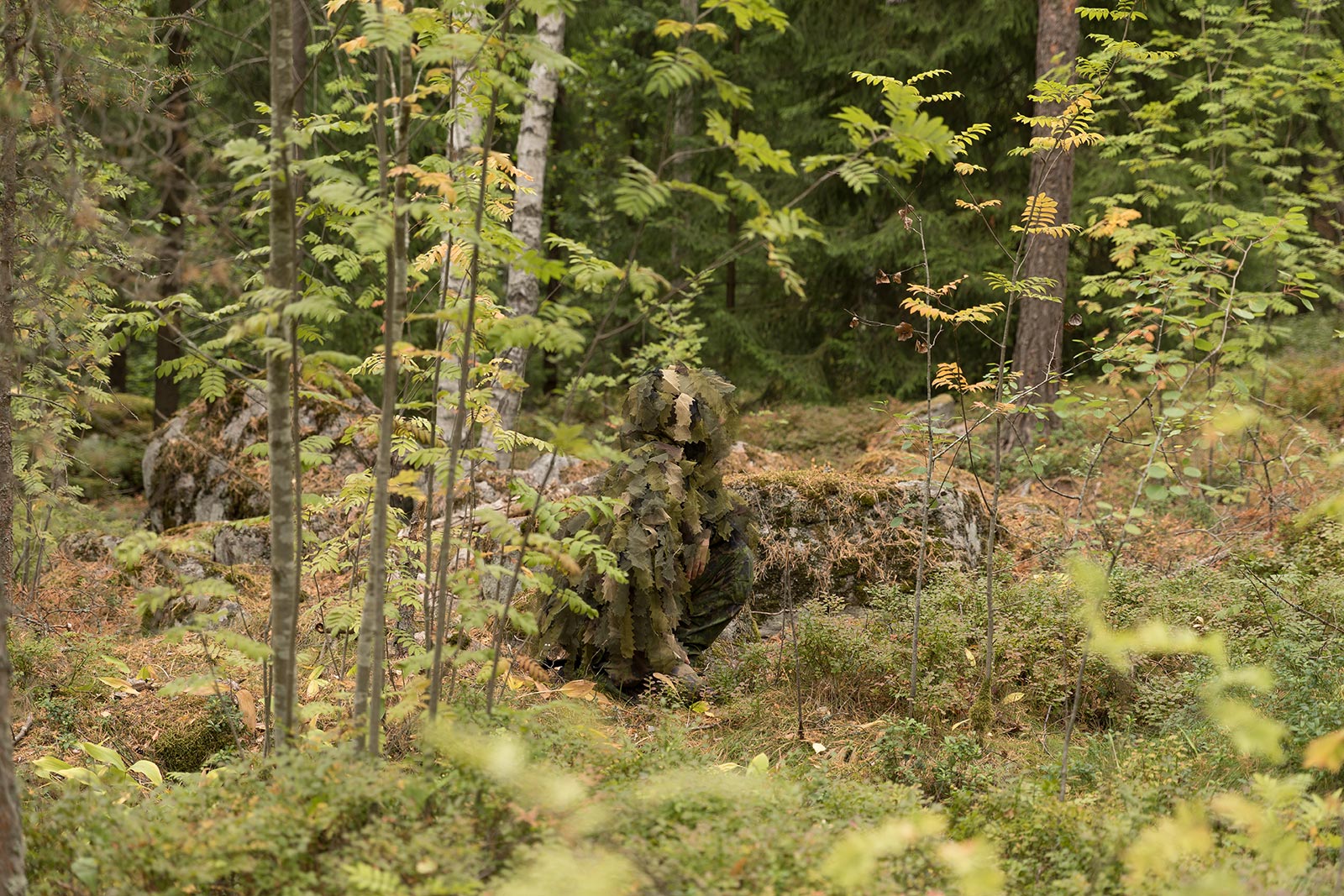 Camouflage