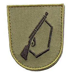 Varusteleka M05 training branch insignia, subdued