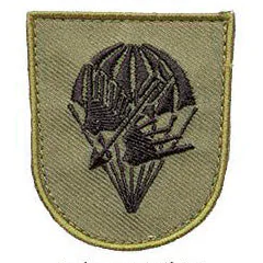 Varusteleka M05 training branch insignia, subdued
