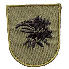 Varusteleka M05 training branch insignia, subdued