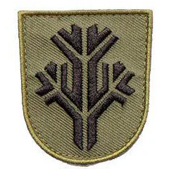 Varusteleka M05 training branch insignia, subdued
