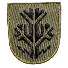 Varusteleka M05 training branch insignia, subdued