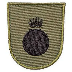 Varusteleka M05 training branch insignia, subdued
