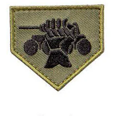 Varusteleka M05 training branch insignia, subdued