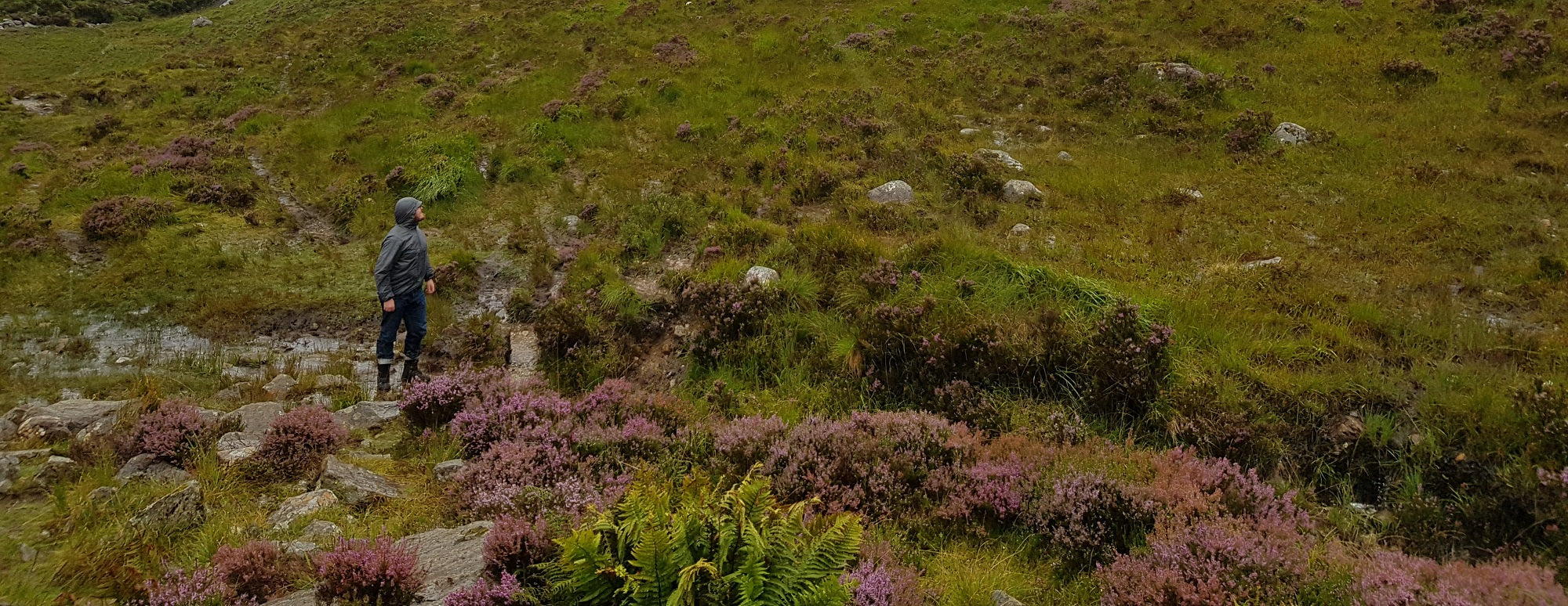Visiting Scotland with Särmä