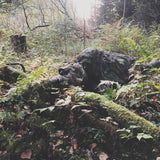 Camping with the Finnish Defence Forces