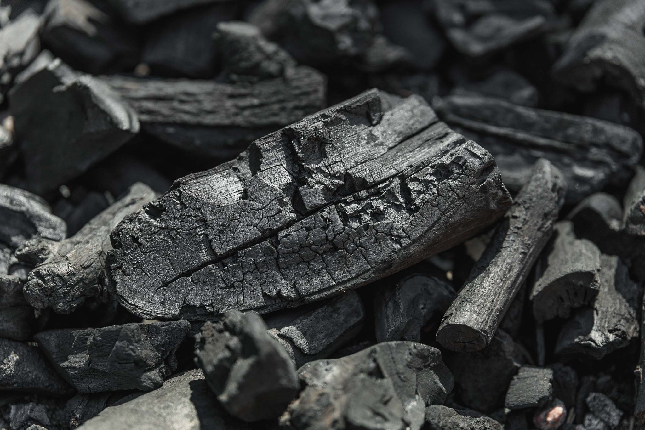 Operation Unethicality Program: Carbon Footprint 2021