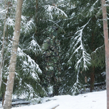 Military Winter Jacket: Shield Yourself from the Elements