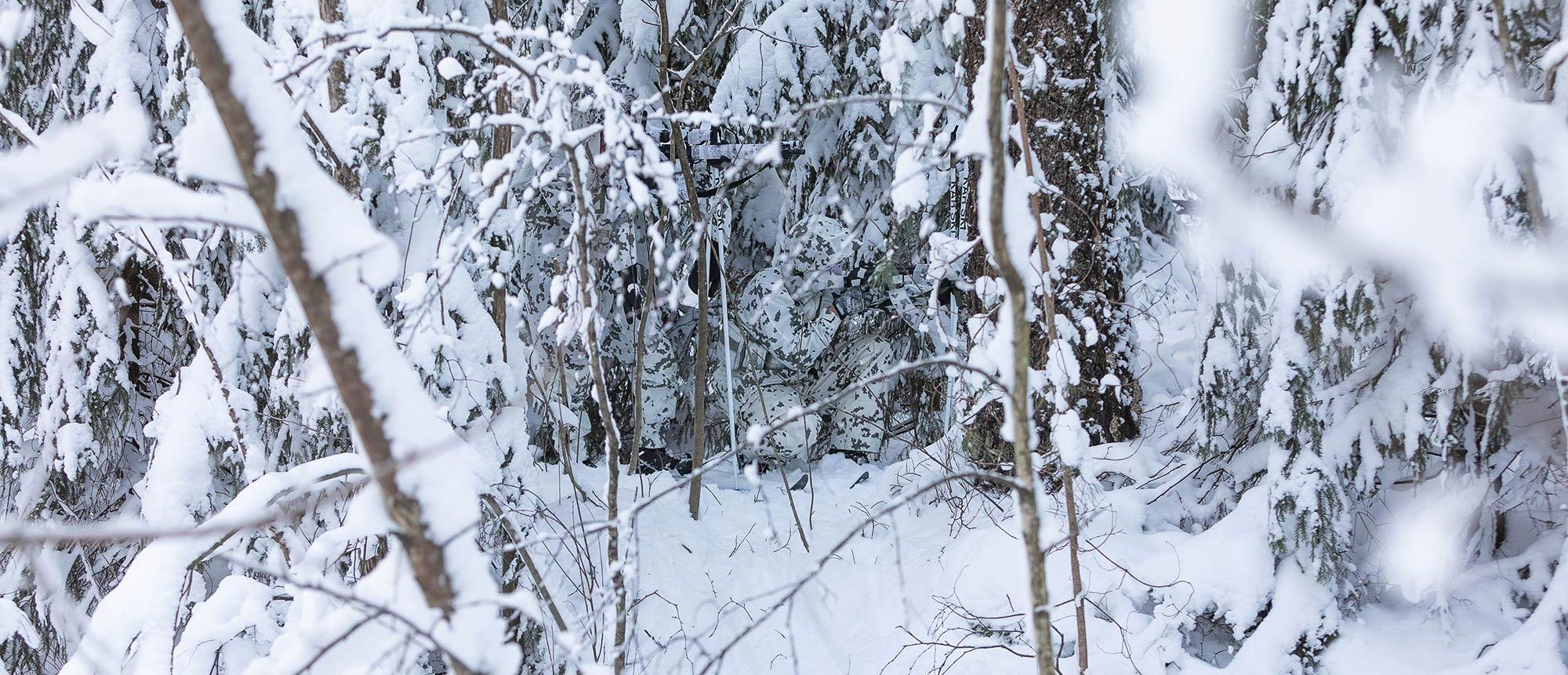 Snow Camouflage