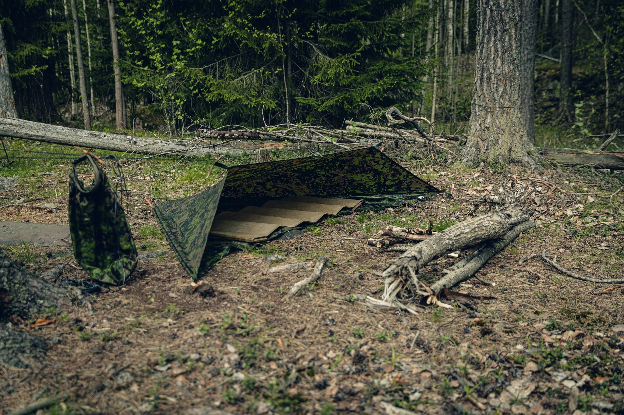 Shelters and sleeping