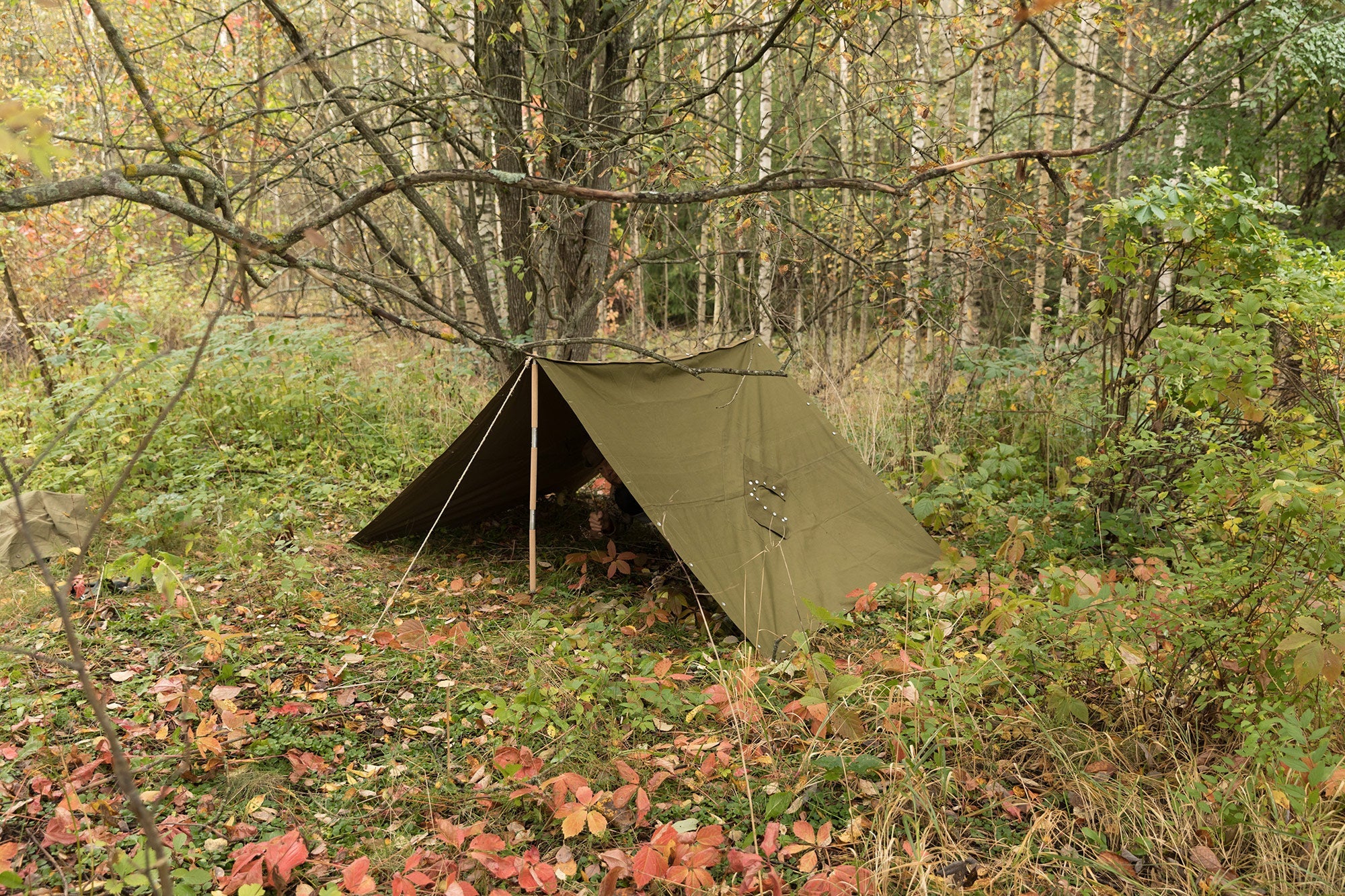 Belgian Shelter Half, Green, Surplus