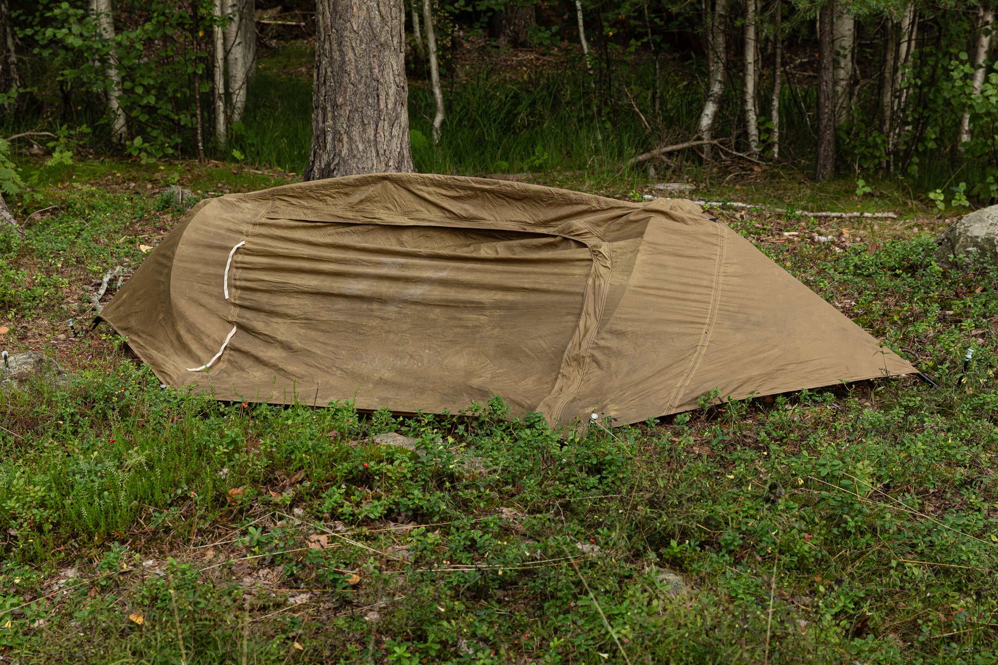 US Catoma PopUp BedNet w. Rain Fly , Coyote Brown, Surplus