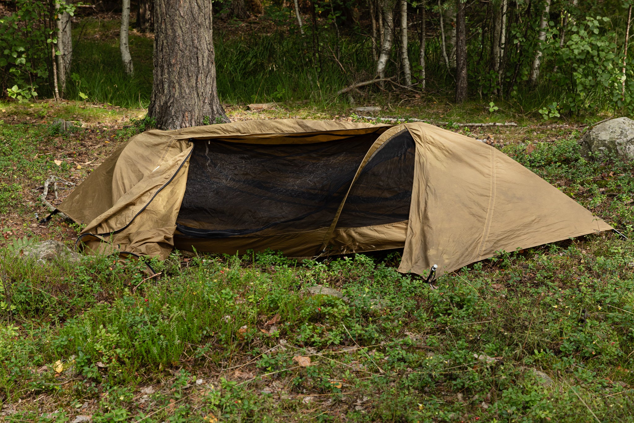 US Catoma PopUp BedNet w. Rain Fly , Coyote Brown, Surplus