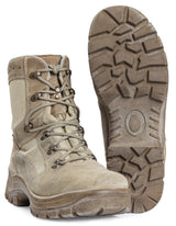 BW Gore-Tex Wüstenstiefel, Überschuss