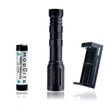 This light package contains the PLHv2 light head; 18650 body; and tail cap. It also includes a single Modlite 3500mAh 18650 battery and the XTAR MC2 charger. The light has a Scout-style mounting platform; but the Scout mount must be purchased separately; for example; from us.