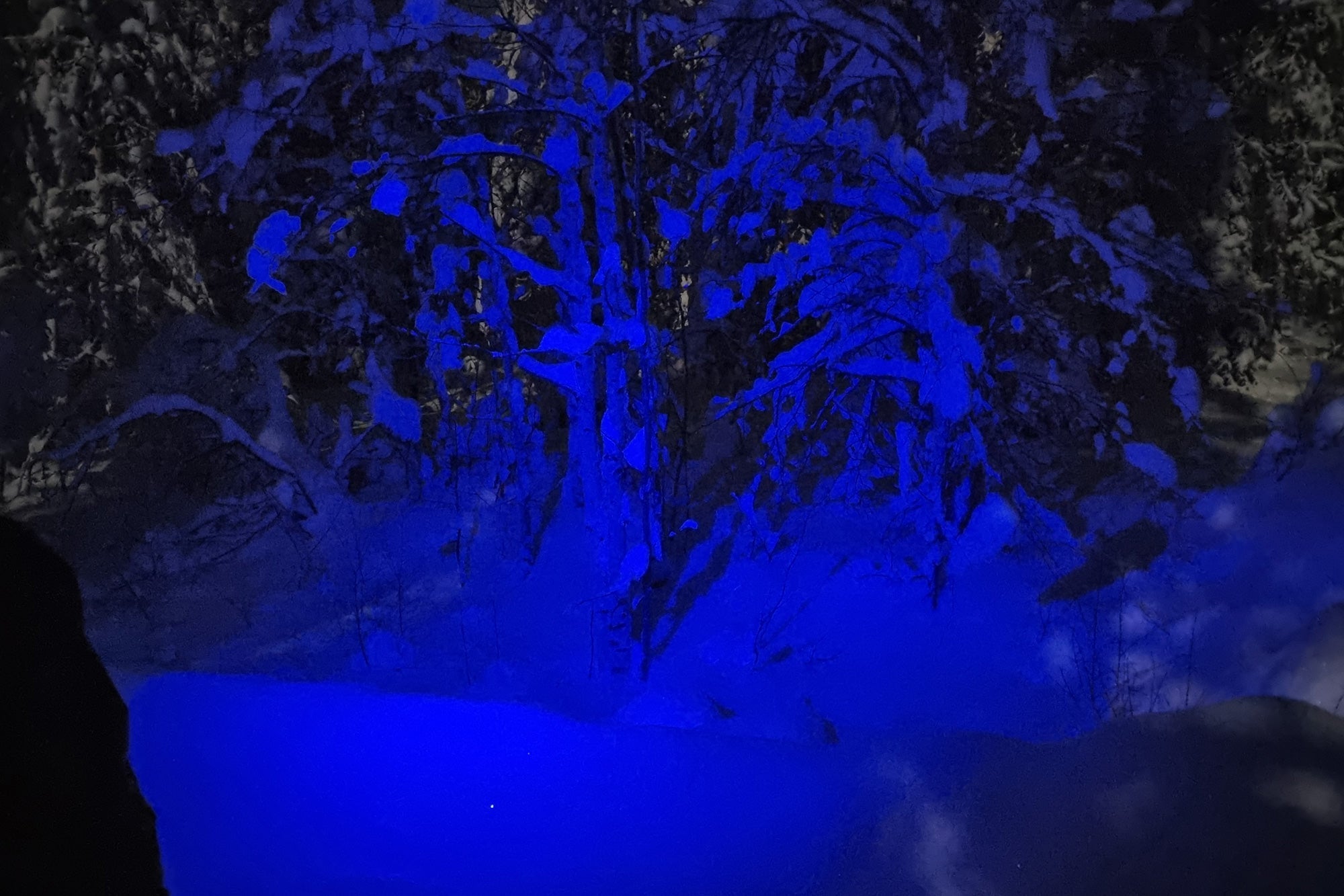 petzl_aria_2_rgb_headlamp-065c33f0dd2695.jpg