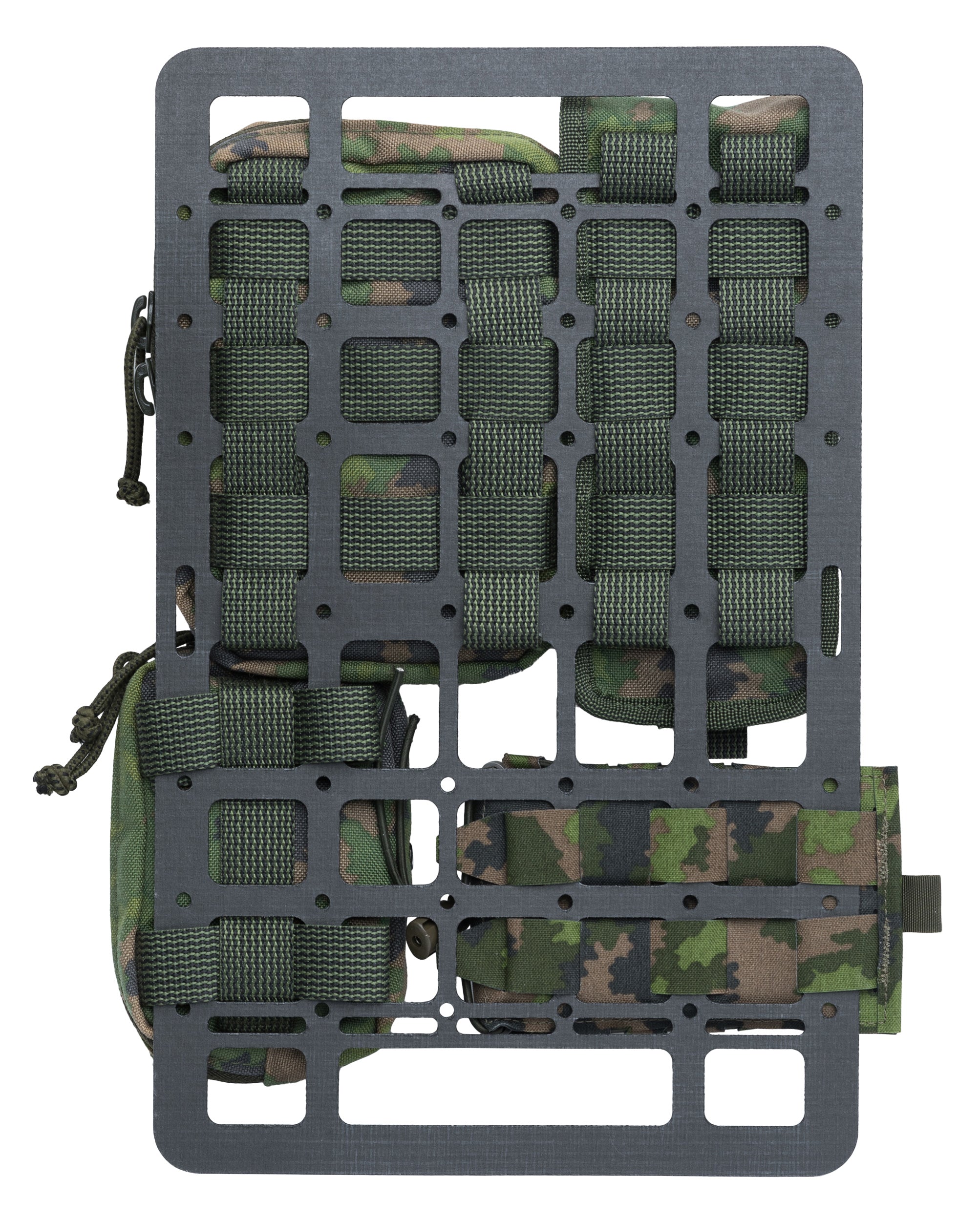 sarma_tst_rigid_pals_panel-0660d3a03536d7.jpg