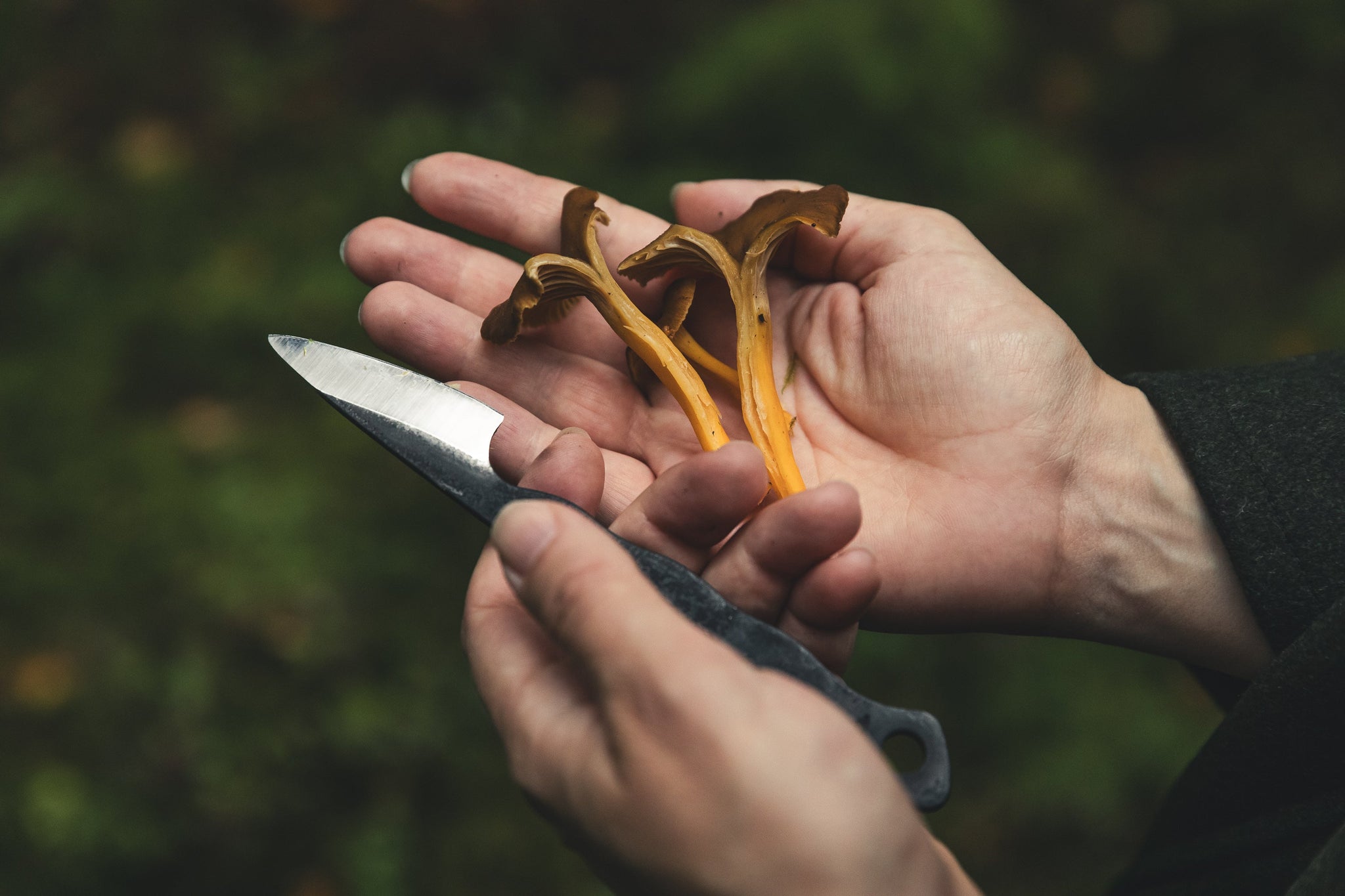 terava_tiny_knife_carbon_steel-065018bfb5dd04.jpg