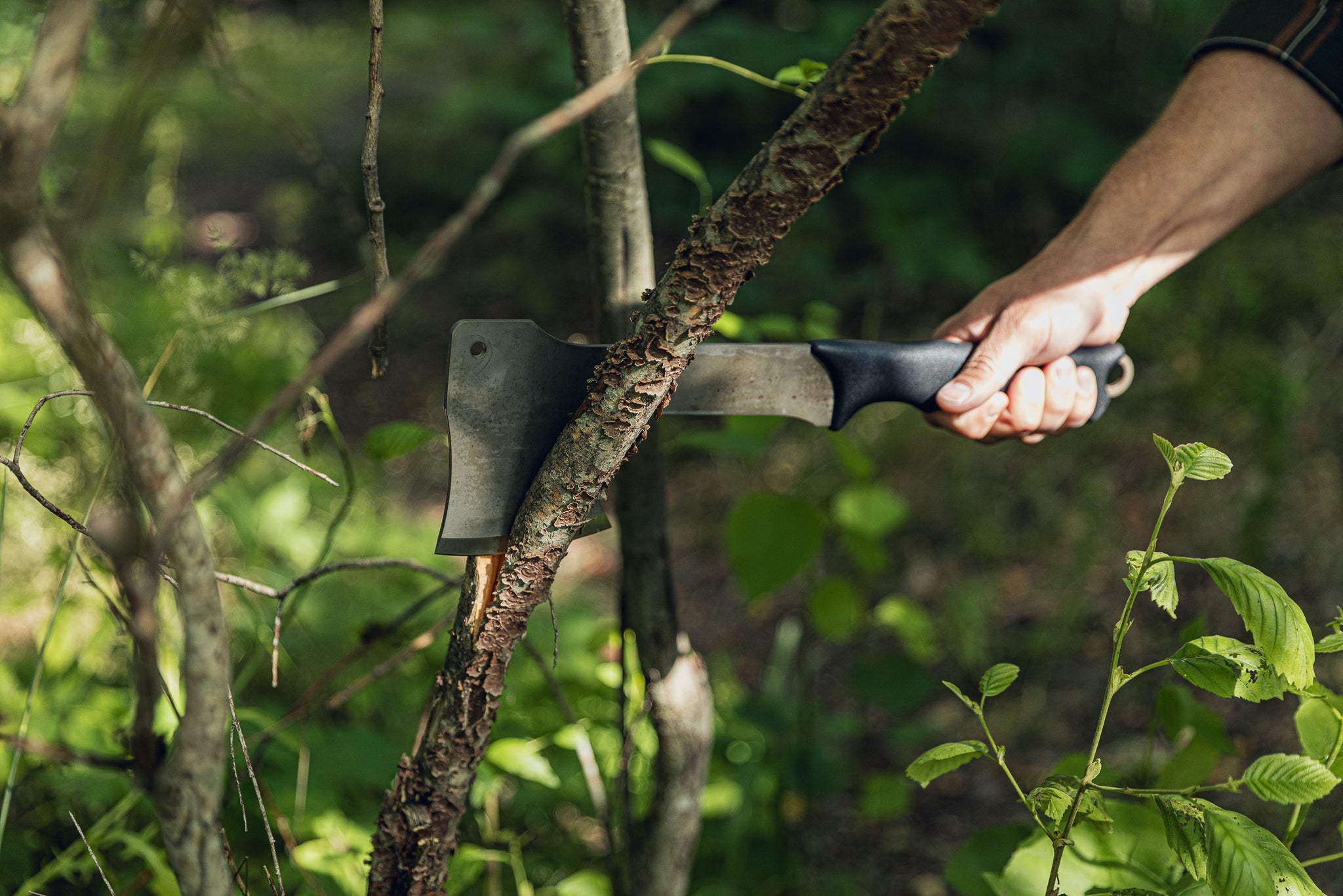A close-up action shot of a person's hand holding a black-handled hatchet and driving it into a tree trunk in a forest setting.