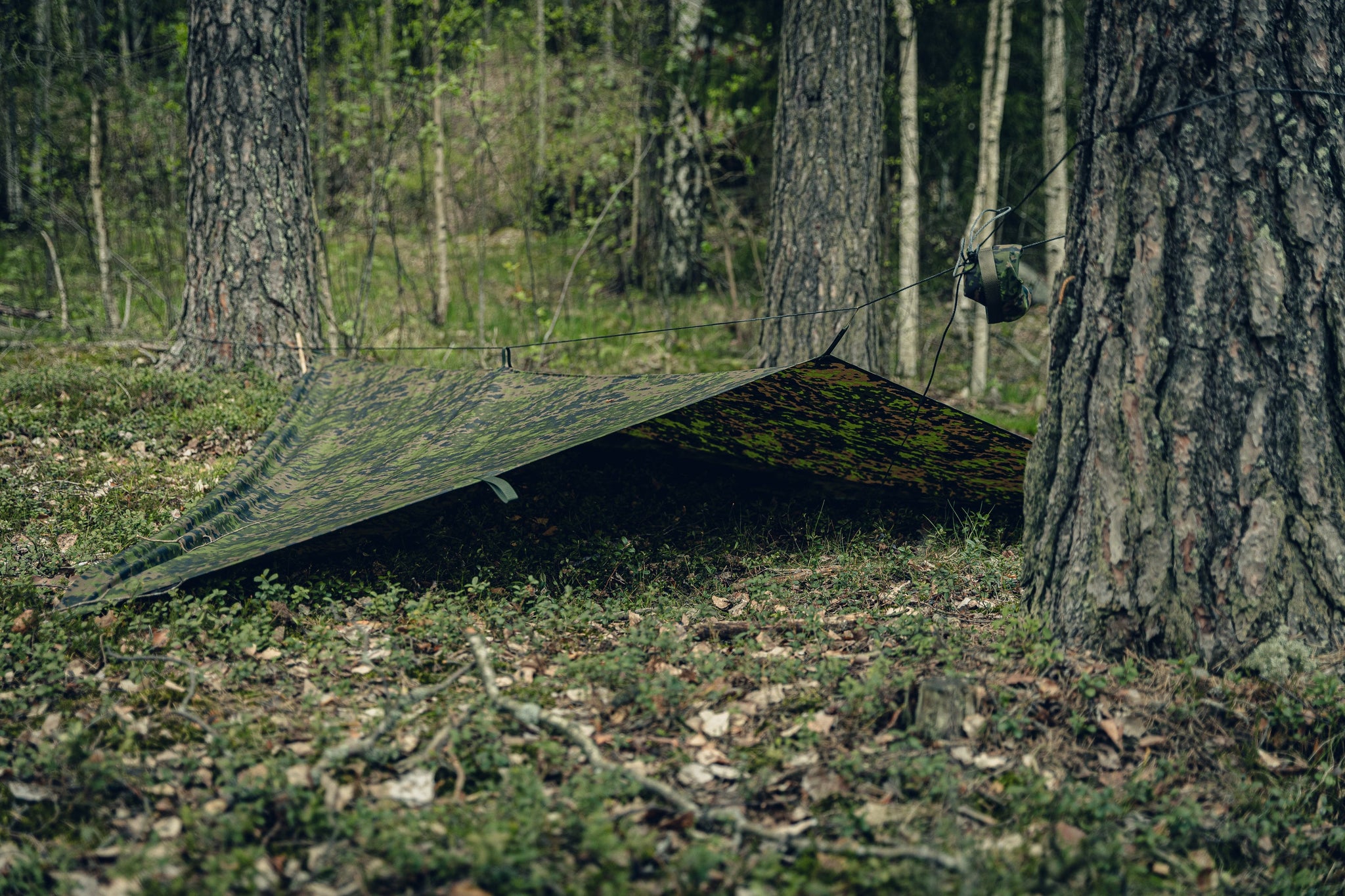 varusteleka-tarp-0688c89782a28e.jpg