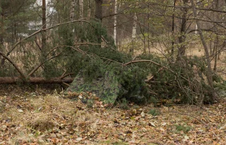 Kyseisestä verkkokankaasta tehty Särmä TST Naamioviitta luonnollisessa elinympäristössään.