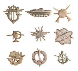 Czechoslovakian Branch Insignia, Metal, Surplus