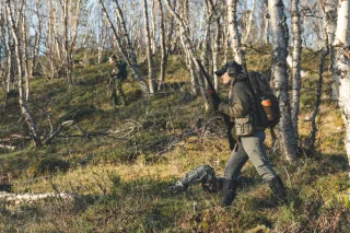 Poistunut versio, joka on väriltään ruskeampi.